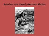 Russian War Dead (German Photo)