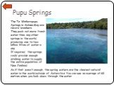 Pupu Springs. The Te Waikoropupu Springs in Golden Bay are record breakers. They push out more fresh water than any other springs in the world, producing one to two billion litres of water a day. If required, the springs could provide enough drinking water to supply the entire population of New Zeal