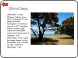 Christmas. Christmas in New Zealand follows soon after midsummer’s day. Many northern hemisphere traditions prevail in NZ, including tinsel-covered pine trees and christmas cards portraying snow & reindeer. The pohutukawa tree comes into peak-bloom in late December and is known as New Zealand’s 