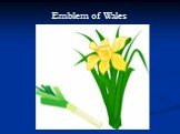 Emblem of Wales