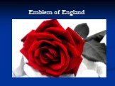Emblem of England