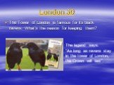 London 30. The Tower of London is famous for its black ravens. What’s the reason for keeping them? The legend says: “As long as ravens stay in the tower of London, the Crown will last”.