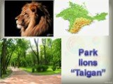 Park lions “Taigan”