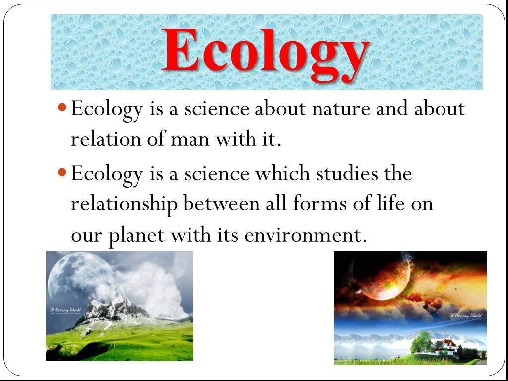 Text ecology. Ecological problems задания. Ecology презентация на английском. Лексика по теме экология. Spotlight 10 4a Environmental Protection презентация.