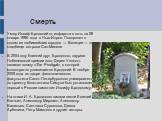 Смерть. Умер Иосиф Бродский от инфарктa в ночь на 28 января 1996 года в Нью-Йорке. Похоронен в одном из любимейших городов — Венеции — на кладбище острова Сан-Микеле В 2004 году близкий друг Бродского, лауреат Нобелевской премии поэт Дерек Уолкотт написал поэму «The Prodigal», в которой многократно 