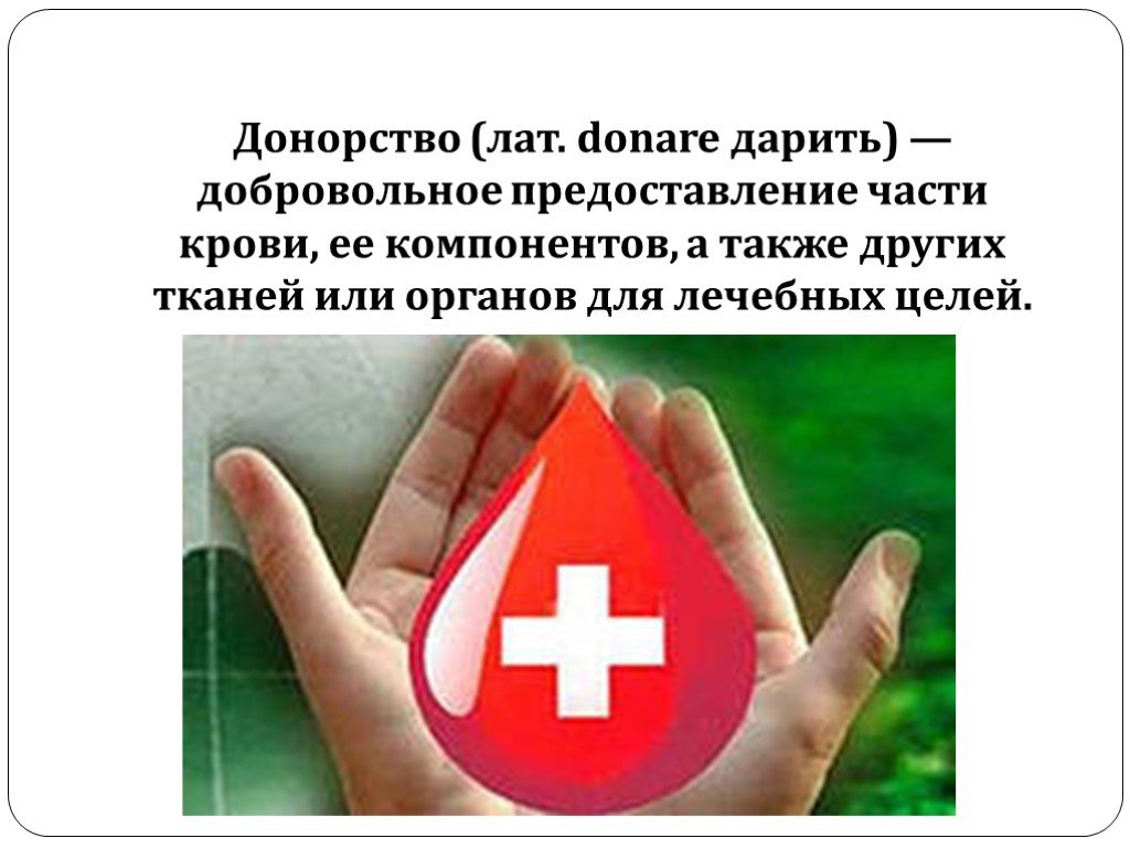 Донорство презентация. Презентация про доноров. Донорство крови презентация. Презентация на тему донорство.