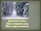 Зима в Абрамцеве- Деревья в инее… Здесь сторона моя, Здесь море снежное.