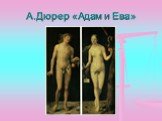 А.Дюрер «Адам и Ева»