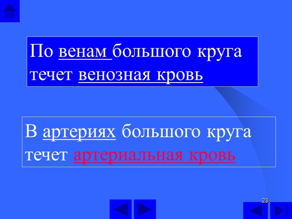 По артериям большого круга течет. Артериальная кровь течет. Артериальная кровь течет по. В артериях большого круга течёт артериальная. В артериях большого круга течёт артериальная кровь.