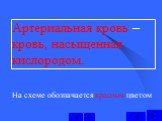 Артериальная кровь – кровь, насыщенная кислородом. На схеме обозначается красным цветом