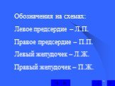 Обозначения на схемах: Левое предсердие – Л.П. Правое предсердие – П.П. Левый желудочек – Л.Ж. Правый желудочек – П.Ж.