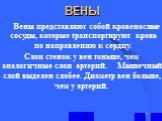 ВЕНЫ. Вены представляют собой кровеносные сосуды, которые транспортируют кровь по направлению к сердцу. Слои стенок у вен тоньше, чем аналогичные слои артерий. Мышечный слой выделен слабее. Диаметр вен больше, чем у артерий.