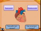 Как работает сердце? Как устроено сердце?