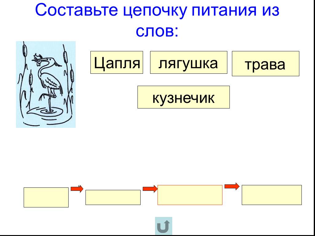 Составить цепочку слов. Цепи питания 2 класс задания. Цепи питания задания для 3 класса. Задание на составление цепи питания 3 класс. Составь цепь питания.