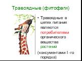 Травоядные (фитофаги). Травоядные в цепях питания являются потребителями органического вещества растений (консументами I -го порядка)