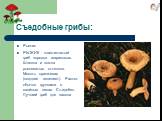 Рыжик РЫЖИК - пластинчатый гриб порядка агариковых. Шляпка и ножка рыжеватых оттенков. Мякоть оранжевая (позднее зеленеет). Растет обычно группами в хвойных лесах. Съедобен. Лучший гриб для засола