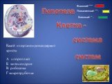Какой из органоидов содержит кристы А хлоропласт Б митохондрия В рибосома Г микротрубочка. Высокий *** - Повышенный **- Базовый * -