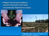 Недостаточный уровень экологической культуры населения Пермского края. В Пермском крае незаконно нарубили леса почти на двадцать миллионов.