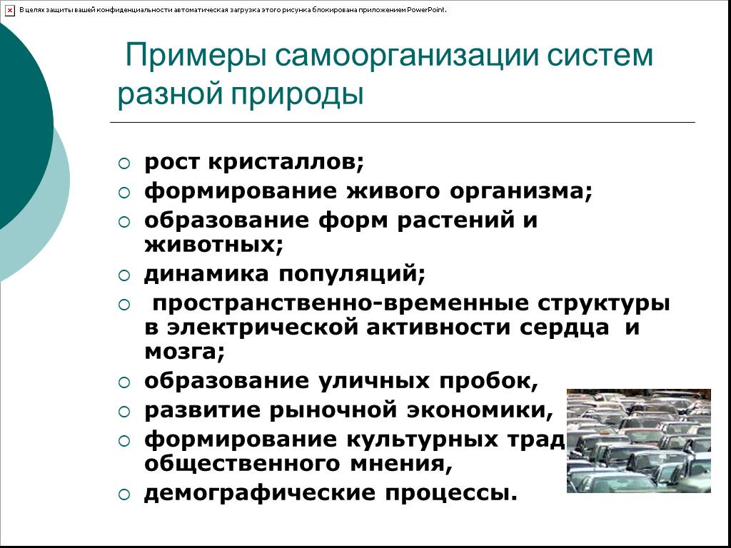 Законы живых систем. Примеры самоорганизации. Примеры самоорганизации систем. Примеры самоорганизации в природе. Самоорганизация в живой природе.