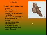 Змееяд Circaetus gallicus (Gmelin, 1788) Отряд Соколообразные - Falconiformes Семейство Ястребиные - Accipitridae СТАТУС: Категория 1. Исключительно редкий, предположительно гнездящийся перелётный вид, занесенныйКрасную книгу России