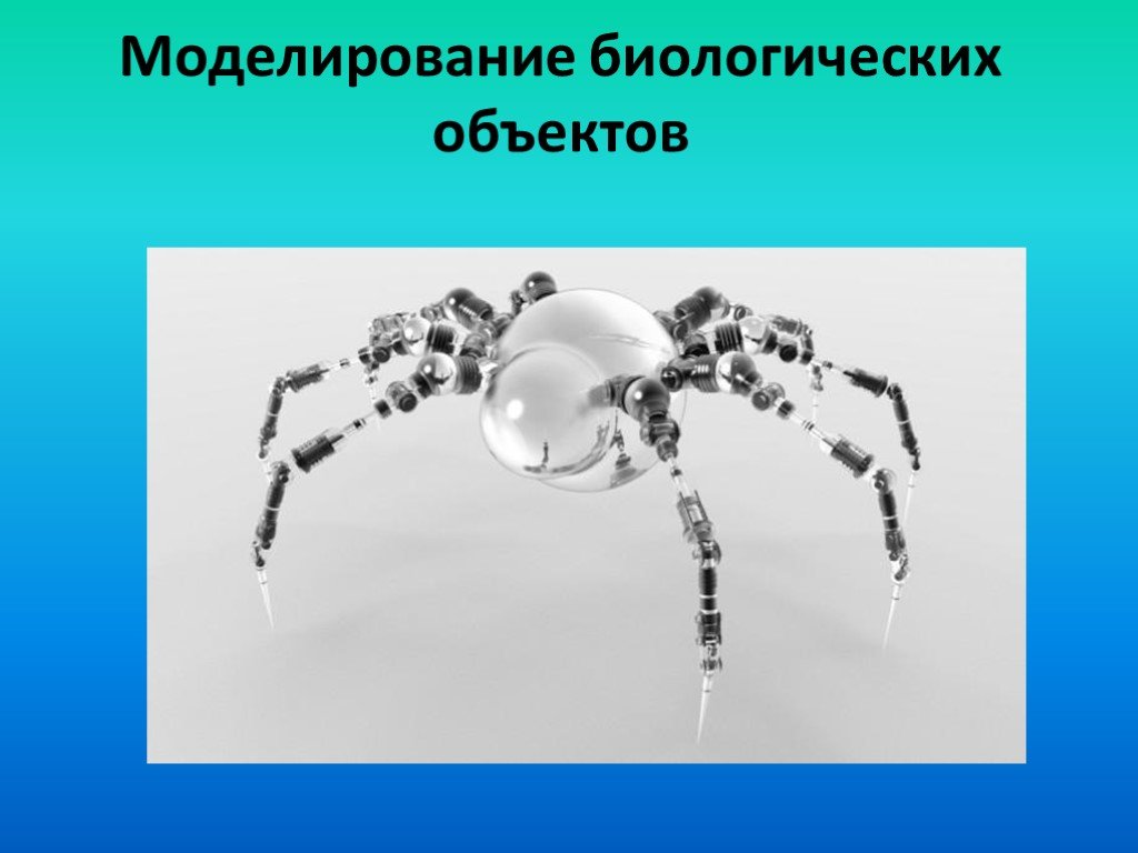 Проект компьютерное моделирование в биологии и экологии