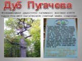 В ознаменование двухсотлетия пугачевского восстания в 1974 году на этом месте был установлен памятный камень с надписью. Дуб Пугачева