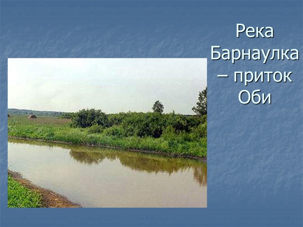 Какой приток реки оби. Река Барнаулка на карте. Приток реки Барнаулка. Исток Барнаулки. Исток реки Барнаулка.