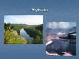 География Алтайского края Слайд: 36