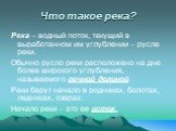 Что такое река? Река – водный поток, текущий в выработанном им углублении – русле реки. Обычно русло реки расположено на дне более широкого углубления, называемого речной долиной. Реки берут начало в родниках, болотах, ледниках, озерах. Начало реки – это ее исток.