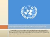 — представляет собой изображение официальной эмблемы Организации Объединённых Наций, расположенной в центре голубого фона цвета Организации Объединённых Наций. Эта эмблема белого цвета изображена на обеих сторонах полотнища, за исключением тех случаев, когда в правилах предписывается иное. Флаг Орга