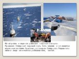 На островах и льдинах работают научные станции. Проложен Северный морской путь. Хоть человек и не является коренным жителем Арктики, но в морях Северного Ледовитого океана люди занимаются рыболовством, охотой.