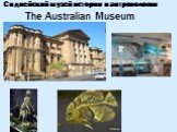 Сиднейский музей истории и антропологии The Australian Museum