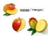 mango /ˈmæŋɡəʊ/