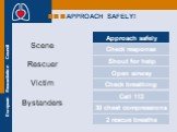 APPROACH SAFELY! Scene Rescuer Victim Bystanders