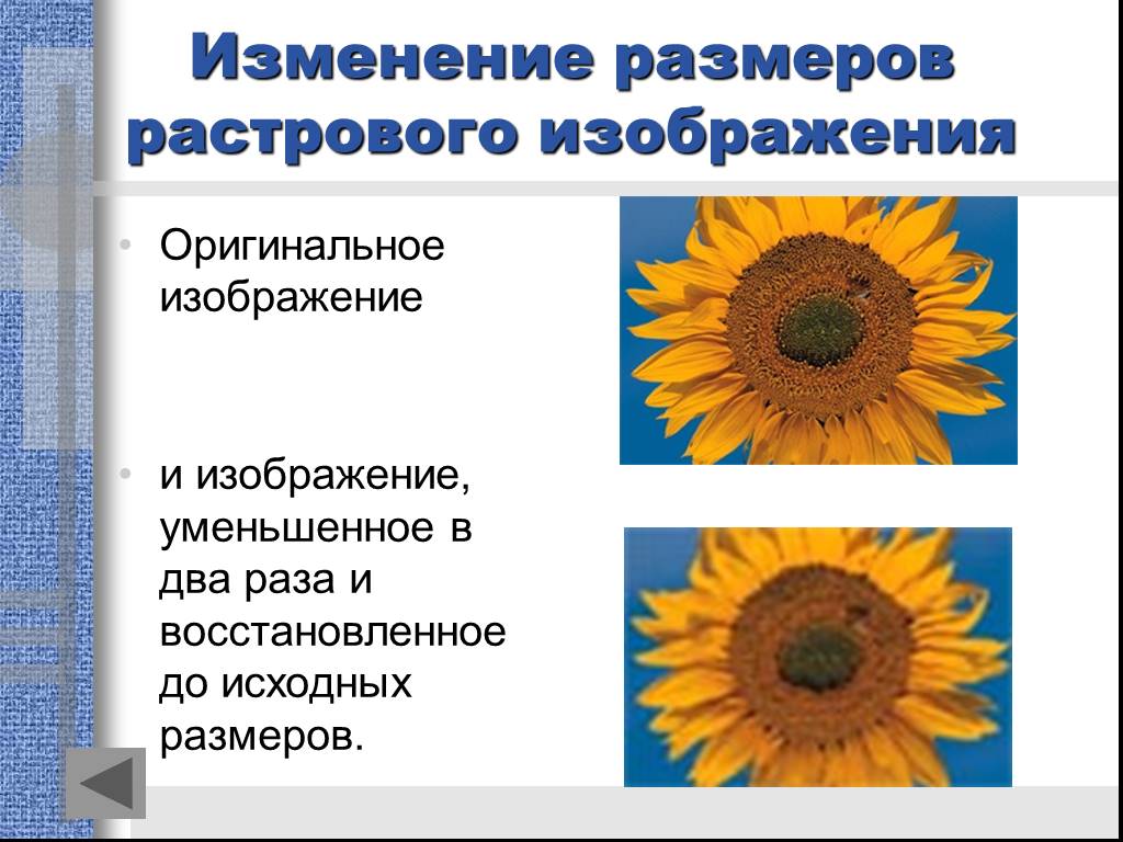 Найди размер растрового изображения. Изменении размеров растрового изображения. При изменении размеров растрового изображения. Растровое изображение изменение. Параметры растровых изображений.