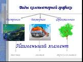 Виды компьютерной графики. Растровая Векторная Фрактальная точка линия треугольник. Наименьший элемент