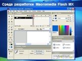 Среда разработки Macromedia Flash MX