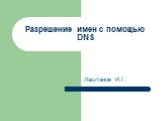 Разрешение имен с помощью DNS. Лаштанов И.Г.