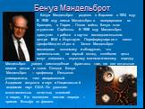 Бенуа Мандельброт. Бенуа Мандельброт родился в Варшаве в 1924 году. В 1936 году семья Мандельброта эмигрировала во Францию, в Париж . После войны Бенуа стал студентом Сарбонны. В 1958 году Мандельброт приступил к работе в научно исследовательском центре IBM в Йорктауне. Переформулировал закон Ципфа-