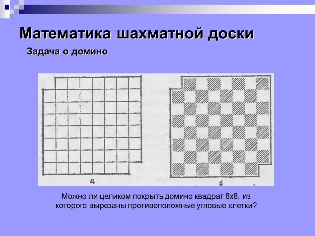 На шахматной доске 64 клетки поля. Клетки шахматной доски. Математика на шахматной доске. Задачи на шахматной доске. Шахматная доска задание.