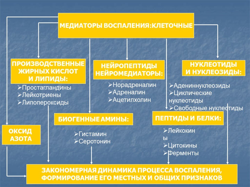 Медиаторы воспаления. Патогенез воспаления с медиаторами. Схема динамики воспалительного процесса. Основные медиаторы воспаления. Основные компоненты патогенеза воспалительного процесса.