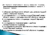 Для получения исчерпывающих данных, касающихся пищевода, рентгенологическое исследование целесообразно проводить в следующем порядке: 1) обзорная рентгеноскопия области шеи, органов грудной клетки и брюшной полости; 2) исследование с 1 – 2 глотками жидкой бариевой взвеси области кардии и рельефа сли