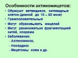 Особенности актиномицетов: Образуют ветвящиеся, нитевидные клетки (длиной до 10 – 50 мкм) Грамположительные Могут образовывать мицелий Могут размножаться фрагментацией нитей, спорами Заболевания: Актиномикоз, Нокардиоз Мицетомы кожи и др.