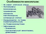 Особенности микоплазм: Не имеют клеточной стенки Полиморфны (кокковидные, грушевидные, овоидные, палочковидные, нитевидные клетки) Окрашиваются по Граму (грамотрицательные), по Романовскому-Гимзе Заболевания: Пневмония, Урогенитальный микоплазмоз, уреаплазмоз