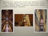 Реймський собор - архітектурна пам'ятка зрілої французької готики в г.Реймс. Тринефна базиліка з трансептом, розвиненою східною частиною і двома західними вежами. Виділяється гармочностью копозіціі, багатющим скульптурним оздобленням