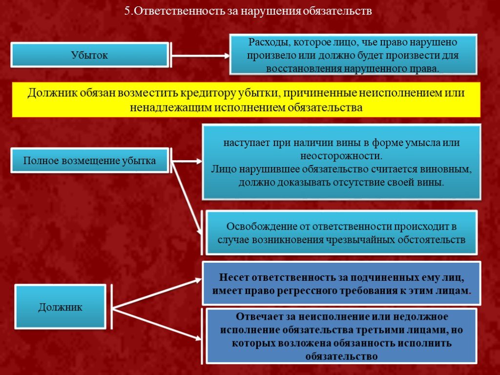 Какие обязательства брала на себя россия по данному проекту договора укажите три любых обязательства