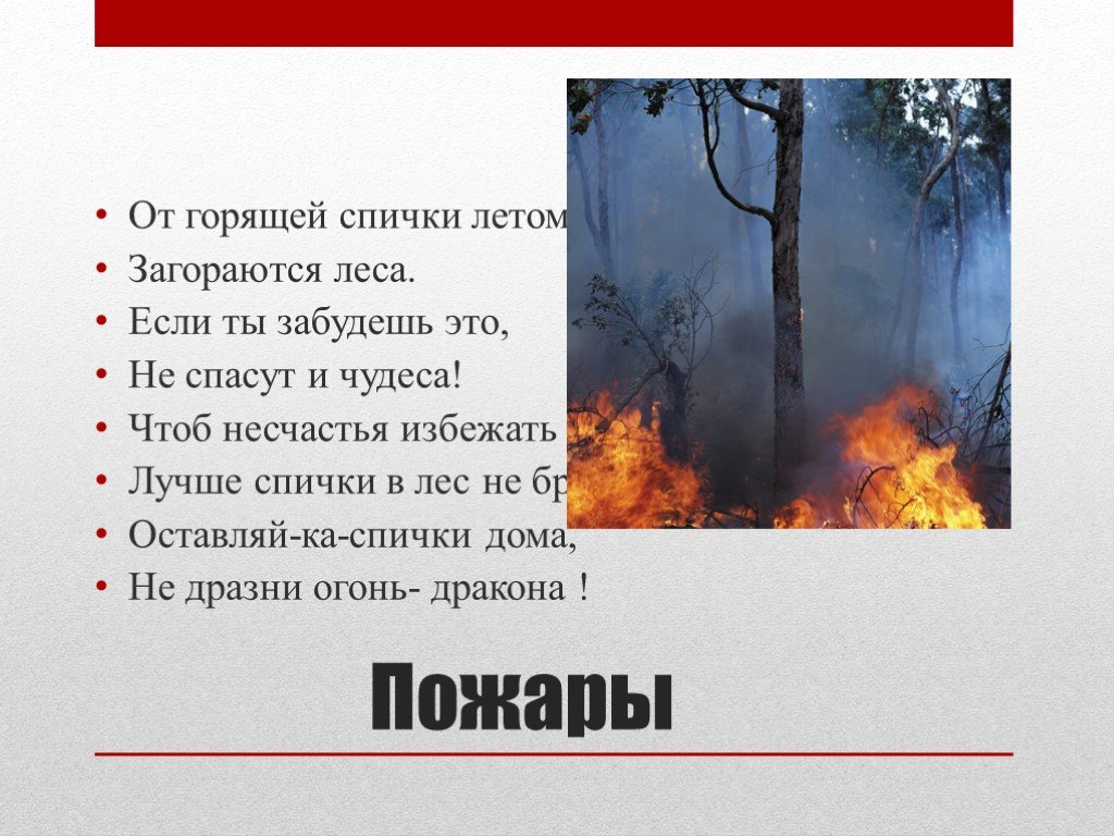 Догорает спичка песня. Пожар от спички в лесу. Спичка в лесу. Горящая спичка в лесу. Лес горел всё лето..