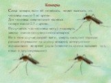 Комары. Самка комара, если ей не мешать, может высосать из человека около 5 мг крови. Для человека смертельной является потеря около 2,5 л крови. Получается, что человека могут «насмерть заесть» около полумиллиона комаров. Но в этом случае, скорей всего, смерть наступит гораздо раньше от реакции на 