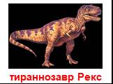 тираннозавр Рекс