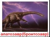 апатозавр (бронтозавр)